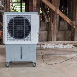 TIPS TO BUY LADIES WATCHES