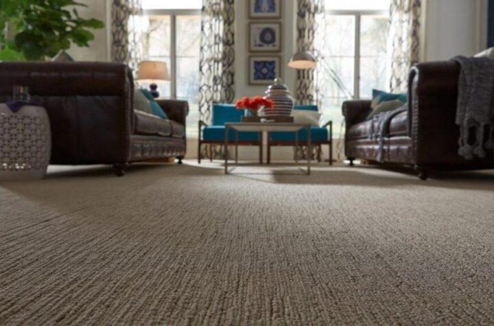 Everything You Should Know about Wall-to-Wall Carpets