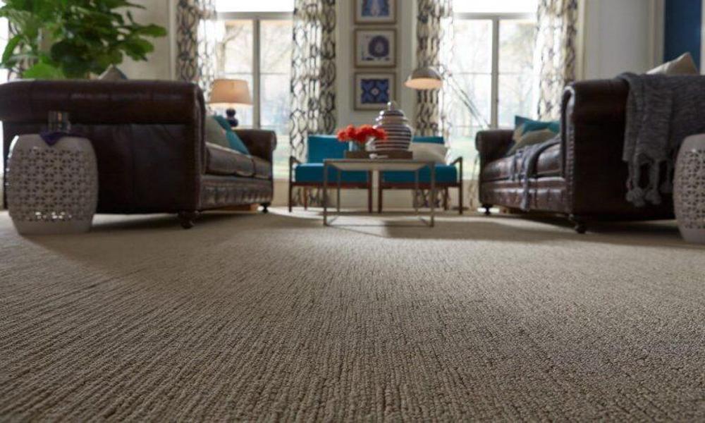 Everything You Should Know about Wall-to-Wall Carpets